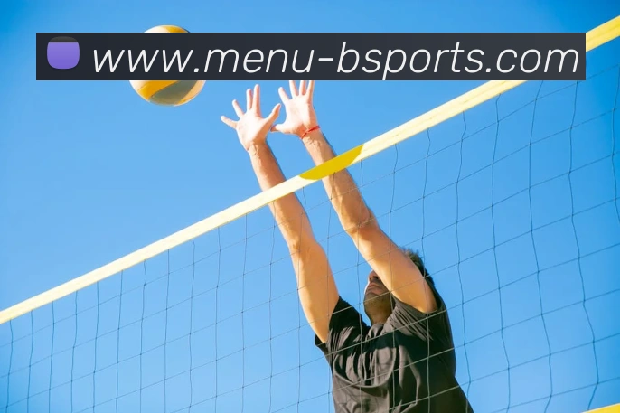 B体育APP 封面图